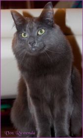 Lady Guinevere von Ruwenda