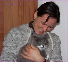 Tarzan von den Norwegischen Waldkatzen von Ruwenda im neuen Zuhause