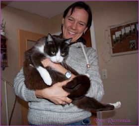 Tarzan von den Norwegischen Waldkatzen von Ruwenda im neuen Zuhause