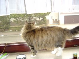 Beauty in ihrem neuen Zuhause