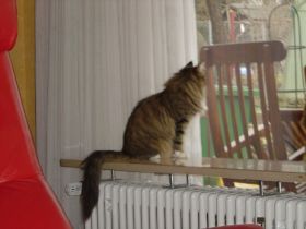 Beauty in ihrem neuen Zuhause