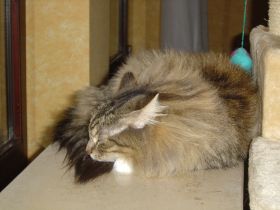 Beauty in ihrem neuen Zuhause