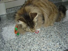 Beauty in ihrem neuen Zuhause