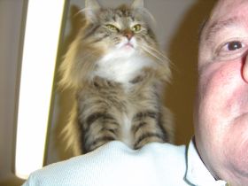 Beauty in ihrem neuen Zuhause