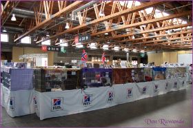 Die Norwegischen Waldkatzen von Ruwenda in St.Gallen 2013