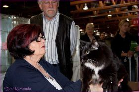 Die Norwegischen Waldkatzen von Ruwenda in St.Gallen 2013