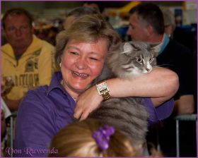 Die Norwegischen Waldkatzen von Ruwenda in St.Gallen 2013
