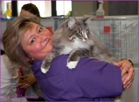 Die Norwegischen Waldkatzen von Ruwenda in St.Gallen 2013