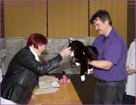 Die Norwegischen Waldkatzen von Ruwenda in St.Gallen 2013