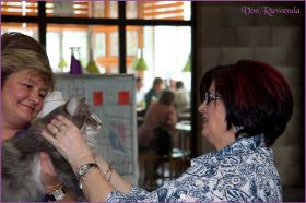 Die Norwegischen Waldkatzen von Ruwenda in St.Gallen 2013