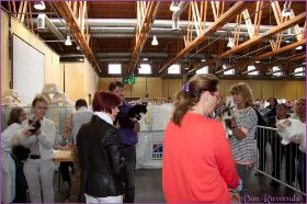 Die Norwegischen Waldkatzen von Ruwenda in St.Gallen 2013