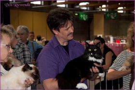 Die Norwegischen Waldkatzen von Ruwenda in St.Gallen 2013