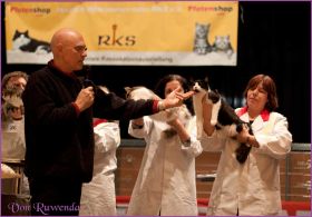 Die Norwegischen Waldkatzen von Ruwenda auf Ausstellung in Untergruppenbach