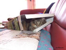 2008_0413Sicherung0011 (1).JPG