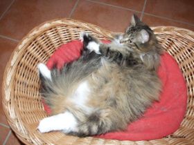 Beauty Geburtstag.JPG